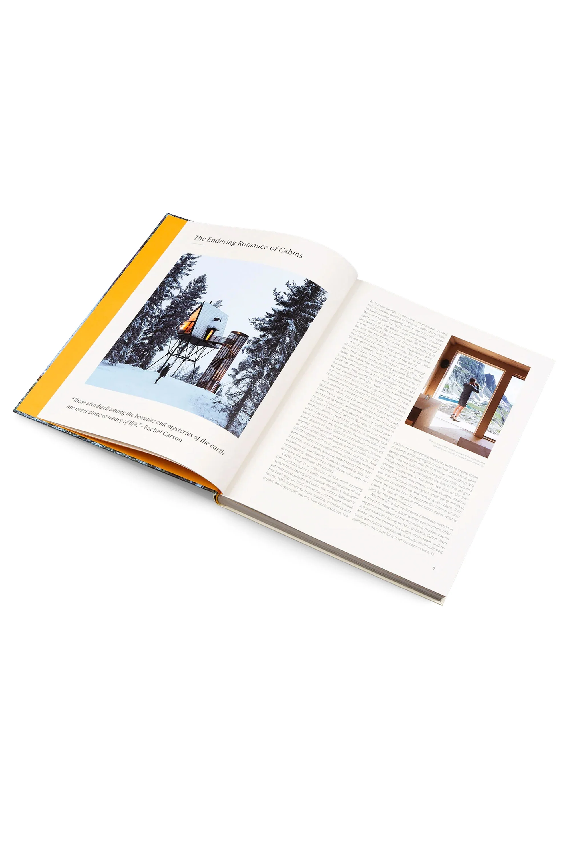 GESTALTEN - CABIN FEVER - Image 2